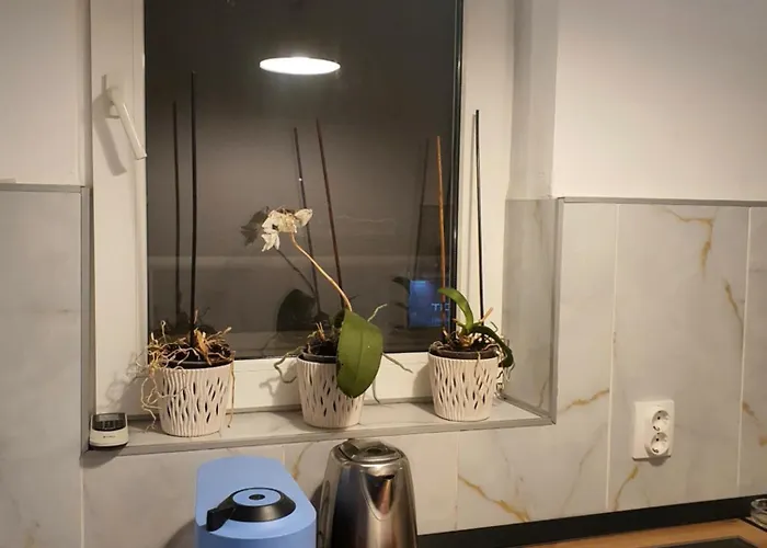 Lotus Apartman Bukarest